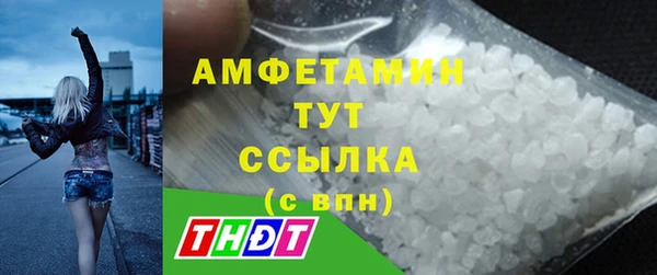 гидра Бородино