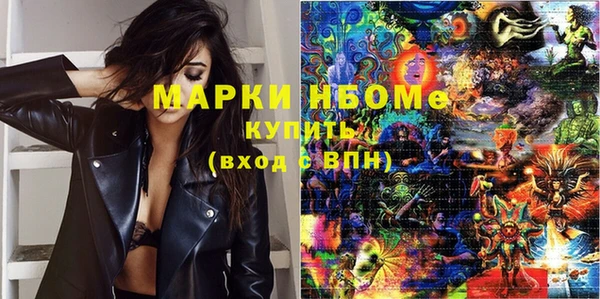 гидра Бородино