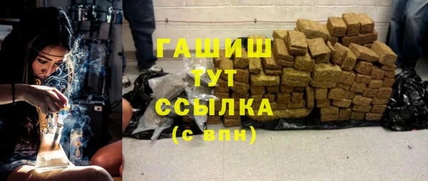 гидра Бородино