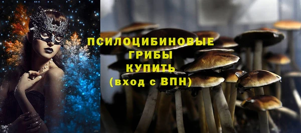 сатива Богородицк